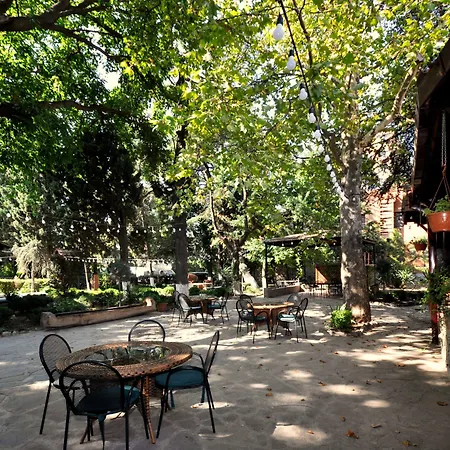 Elle Boutique Hotel-2