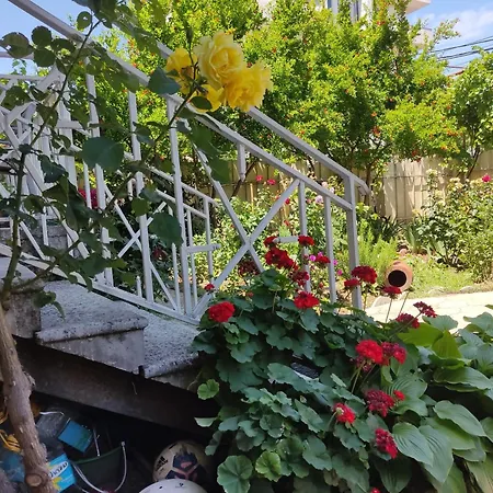 Boutique Hotel Eco-House 25 Tbilisi-3